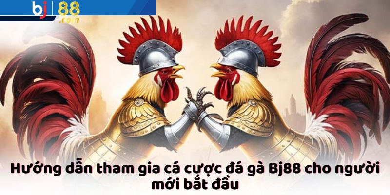 Hướng dẫn tham gia cá cược đá gà Bj88 cho người mới bắt đầu