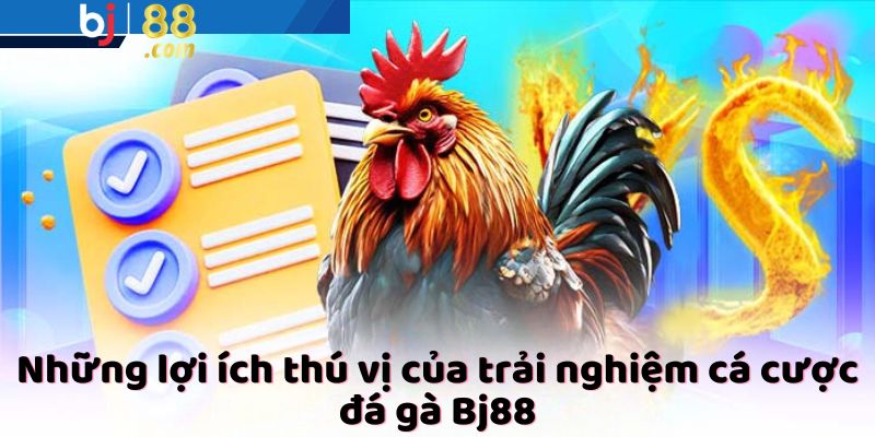 Những lợi ích thú vị của trải nghiệm cá cược đá gà Bj88